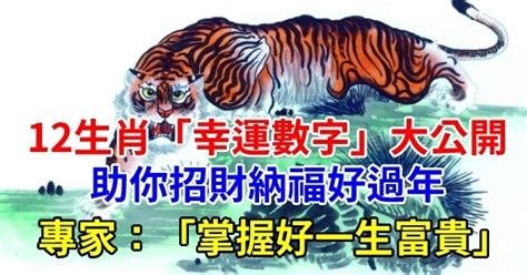 屬狗幸運數字|12生肖「幸運數字」曝光！專家：掌握好一生富貴